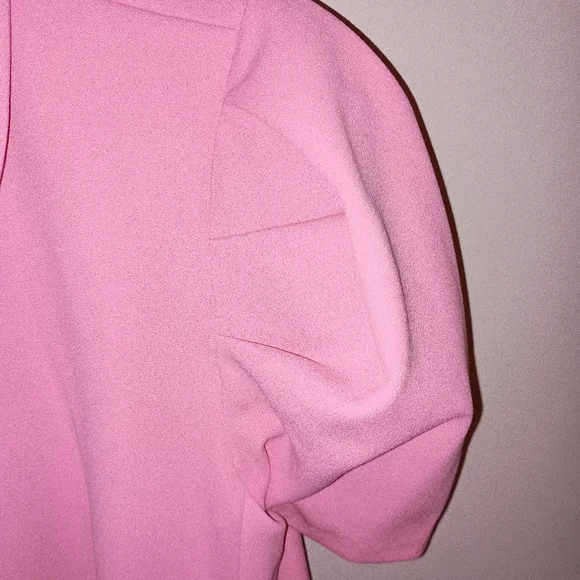 NWOT Karl Lagerfield Women's Size 14 brand New Balletcore Pink Button-Up Dress